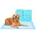 Tucker Murphy Pet™ Pet Training Mat/Pad Set of 20 in Blue | 0.2" H x 18" W x 24" D | Wayfair 728507443221489C83916B77046B1F37