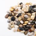 Millwood Pines Pebbles For Plants 1.8 Lb Natural Garden Decorative Stone Outdoor Polish River Rocks 1-2 Inches | Wayfair