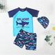 Kids Boys Swimsuit Graphic Short Sleeve Outdoor Cool Colorful shark Summer Clothes 7-13 Years