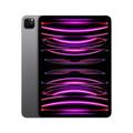 Apple iPad Pro 2 TB 27.9 cm (11") M 16 GB Wi-Fi 6E (802.11ax) iPadOS Grau