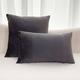 pc Flat Velvet Pillowcase Or Lumbar Pillowcase For Bedroom Living Room Sofa