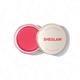 Cheeky Color JamWatermelon Candy Shades MultiUse Cream Blush Lip Cream Matte Highly Pigmented Natural Blush Powder Face Makeup Black Friday Sale Pink