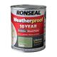 Ronseal 10 Year Weatherproof Paint Satin Spring Green 750ml