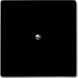 Busch-Jaeger Blindzentralscheibe br 2138-31 2CKA001710A3799 Image