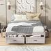 Red Barrel Studio® Full Size Platform Bed w/ 6 Storage Drawers | Queen | Wayfair 742EED85A8C944E9AE313480B61DE4E3