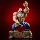 26cm Anime Dragon Ball Figures Master Roshi Action Figure GK Kame Sennin Statue Turtle Power