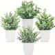 Plantes artificielles vertes en pot fausses plantes artificielles avec pot décoration de salon