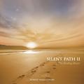 Silent Path 2 - Robert Haig Coxon. (CD)