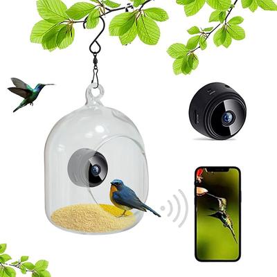 Smart Bird Feeder with Built-in Camera Outdoor Real-Time Monitoring, High-Definition Camera for Pet Birds, and Intelligent Feeding Functions