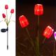 Solar LED Light Outdoor Tulip Rose Flower Lamp Outdoor Solar Landscape Lights Garden Decor Lawn Lamp Waterproof Garden Lights 1PC