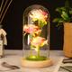 Simulation Rose Flower Gifts Night Light Glass Cover Battery Powered Eternal Flower Dry Bouquet Valentine's Day Mother's Day Creative Gift Wedding Party Decoration