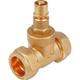 JTM Compression Valves Lock Shield Gate Valve 54mm XL Valves: 54mm