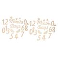 Toyvian 2 Sets Wooden Month Plate Milestone Wooden Milestone Numbers Black Horns Headband Doll House Folding Chair Snowman for Crafts Digital Sign Gift Newborn Natural