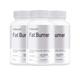 Fitsmart Fat Burner Supports Healthy Weight Loss - 1 Month Supply - 60 Capsules