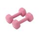 Dumbbel Dumbbell Women's Fitness Home Equipment Pure Iron Small Dumbbell Set Combination Arm Training For Men Barbell (Color : Pink, Size : 6kg)