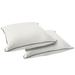 Sorra Home Sunbrella Outdoor Corded Floor Pillow Set of 2