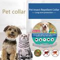 Pet Dog Anti Pulci E Zecche Gatti Collare Pet 8 Mesi Protezione Retrattile Collari Per Animali Per Cuccioli di Gatto Cani di Taglia Grande Accessori