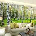 Forest Birch Landscape Wallpaper Roll Mural Wall Covering Sticker Peel and Stick Removable PVC/Vinyl Material Self Adhesive/Adhesive Required Wall Decor for Living Room Kitchen Bathroom
