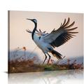 Nawypu Red Crowned Crane China Poster Canvas Prints Wall Art For Home Office Decorations