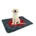 Eles Self Warming Cat Bed Self Heating Cat Dog Mat Extra Warm Thermal Pet Pad For Indoor Outdoor Pets With Non-slip Bottom