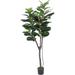 YU Gorgeous 6 Feet Fiddle Leaf Fig Tree Artificial Silk Plant with UV Protection Pre Nursery Pot Feel Real Technology Super Quality Green