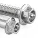 Pro-Bolt Stainless Steel Chain Guard Bolt Kit - Silver, Silver