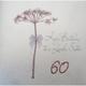 WHITE COTTON CARDS bd65-60 Dandelion, Happy Birthday to a Lovely Sister 60" Handmade 60th Birthday Card, White