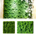 Artificial Plant Moss Grass Turf Mat Wall Green Plants Fake Moss Carpets DIY Home Lawn Garden Micro