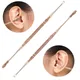 Double Head Stainless Steel Spiral Earpick Ear Scoop Earwax Digging Tools Earwax Curette Spoon Care