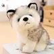 Cute Simulated Husky Plush Toy Husky Doll Cute Claw Machine Gift Children's Gift