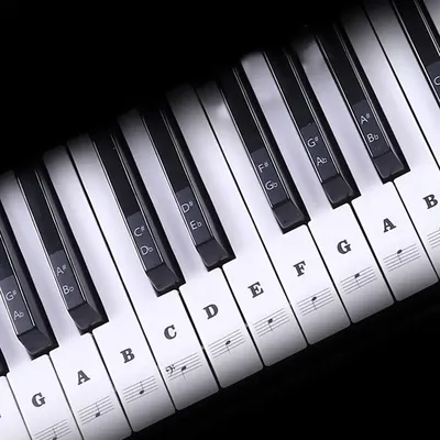 Transparent Piano Keyboard Stickers 88 Keys Detachable Music Decal Notes Electronic Piano Piano