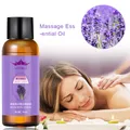 Lavender Essential Oil 30ml Plant Essential Oil Ginger Oil Body Massage Thermal Body Oil For Scrape