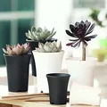 Succulent Plant Old Pile Basin Vientiane Basin Thickened Matte Round High-Waisted Plastic Flowerpot