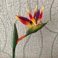 12CM Head/Length80CM Real Touch Fake Plastic Tropical Bird Of Paradise Flower Artificial Silk Long