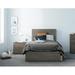 Ebern Designs Oguz 2 Piece Bedroom Set Wood in Brown/Gray | 2 Piece (Bed and Nightstand),Twin | Wayfair 94DA680D55AE40E1A489B575F5DEB41F