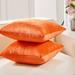 Everly Quinn Nicoletti Square Velvet Pillow Cover Velvet in Orange | 26 H x 26 W x 1 D in | Wayfair 26C7670F5C0E43D1B4E97032589B09BF