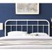 17 Stories Alessia Metal Headboard Metal in Gray/White | 40.5 H x 59.5 W x 1.5 D in | Wayfair D4E21C634D2F4213A2CF79DB2E9E4108