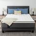 Queen Medium 10" Memory Foam Mattress - Alwyn Home Guthridge Sofa Bed | 80 H x 60 W 10 D in Wayfair 9E0A6F763AB54862BABDC2C1A142D27C