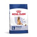 Royal Canin Maxi Adult 5+ pour chien - 15 kg