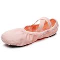 Per donna Scarpe da danza classica Fai pratica con le scarpe da ballo Da allenamento Yoga Morbido Mezza suola Piatto Punta chiusa Elastico Per adulto Cammello Caffè Rosa