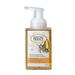 Orange Blossom & Honey Foaming Hand Wash by SoF Body Care (Formerly South of France Body Care) | Hydrating Organic Agave Nectar | 8 oz Pump Bottle Each | 3 Bottles