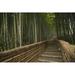 Stone pathway in bamboo forest; Arashiyama Kyoto Japan Poster Print