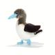 Plüsch & Company 15878 Sula Blue-feet Marine Vogel Weiches Spielzeug, 23 cm