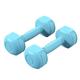 DEEYIN Dumbells A Pair Of Dumbbells, Kilograms, Unisex Fitness Equipment, Household Arm Shaping And Slimming Yoga Dumbbells Dumbell Set (Color : Q, Size : 6KG)