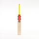 Gray Nicolls Tempesta Gen 1.0 5 Star Junior Cricket Bat (2024) (5)