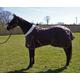 Ruggles 200g Middleweight Horse/Pony Stable Rug | Fleece Collar | Anti Rub Lining | Smart Versatile Rug for Cooler Days or for Layering (Chocolate Brown, 5' 9")