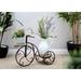 Garden Two-shelf Tricycle Planter Stand