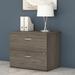 Studio C 2-drawer Lateral File Cabinet by Bush Business Furniture