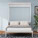 61.5" Modern Full Cabinet Bed Murphy Bed with Shelf, for Guest Room Study Office,White