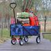 Builddecor Folding Garden Cart, Beach Wagon, Garden Cart | 46.46 H x 40.55 W x 21.26 D in | Wayfair miumiuW22746295